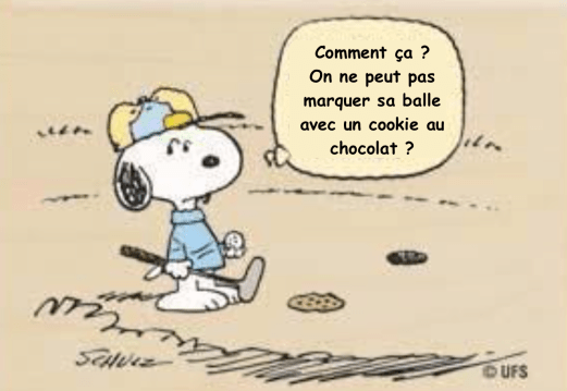 Snoopy_cookie