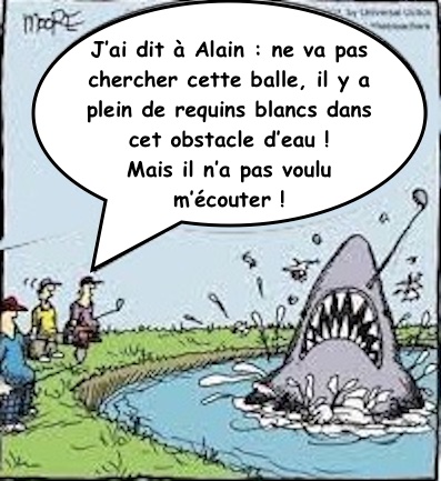 balle shark1