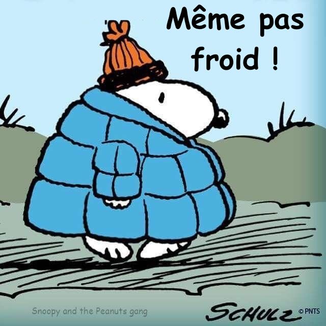 froid