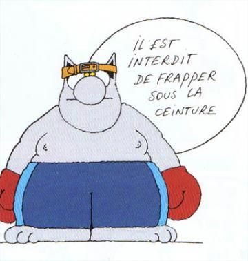 le chat ceinture