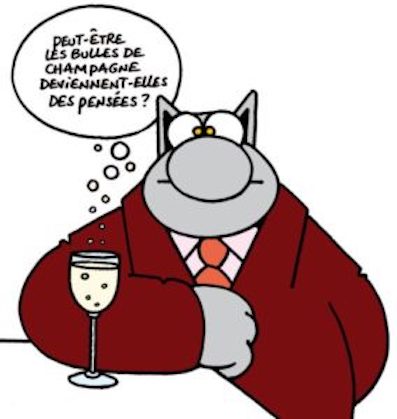chat-pensées