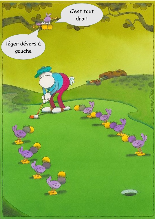 putt oiseaux